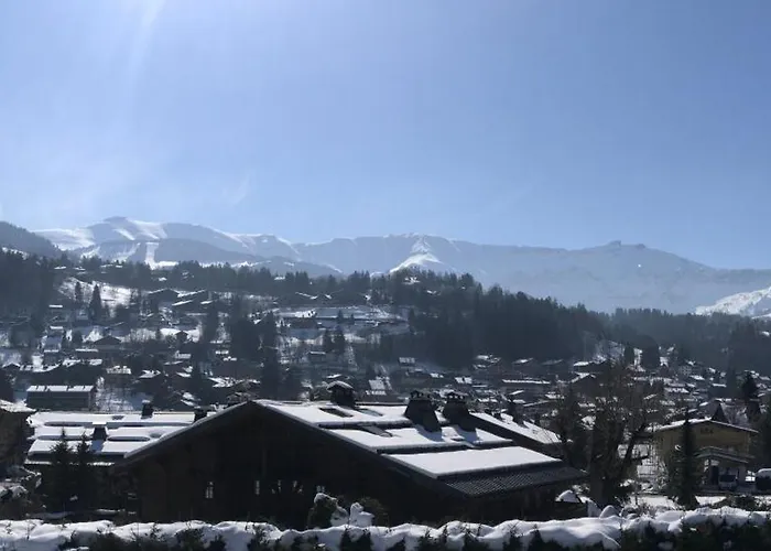 Flocon U Bon Slo 2 Megève